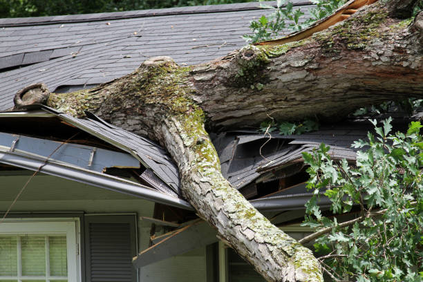 A dangerous leaning tree near a house that needs removal.