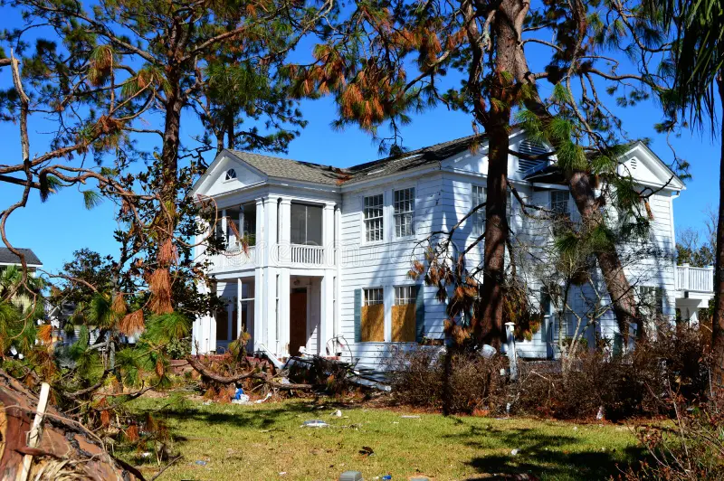 images (2) A tree leaning dangerously toward a house, needing professional evaluation.